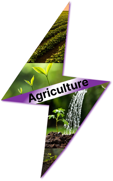 agriculture-setor
